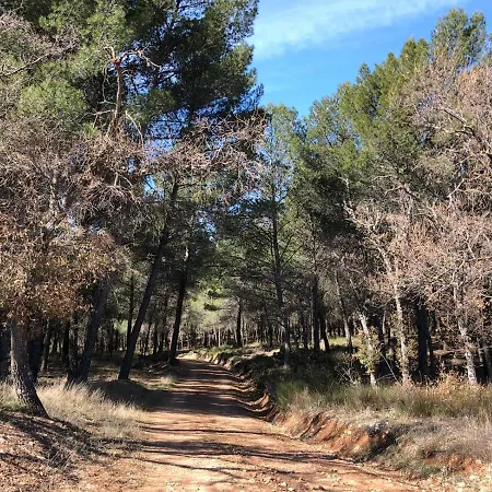 Casa Rural Tio Mora-2